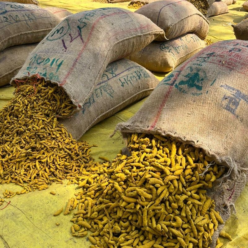 Dry Turmeric thumbnail 3